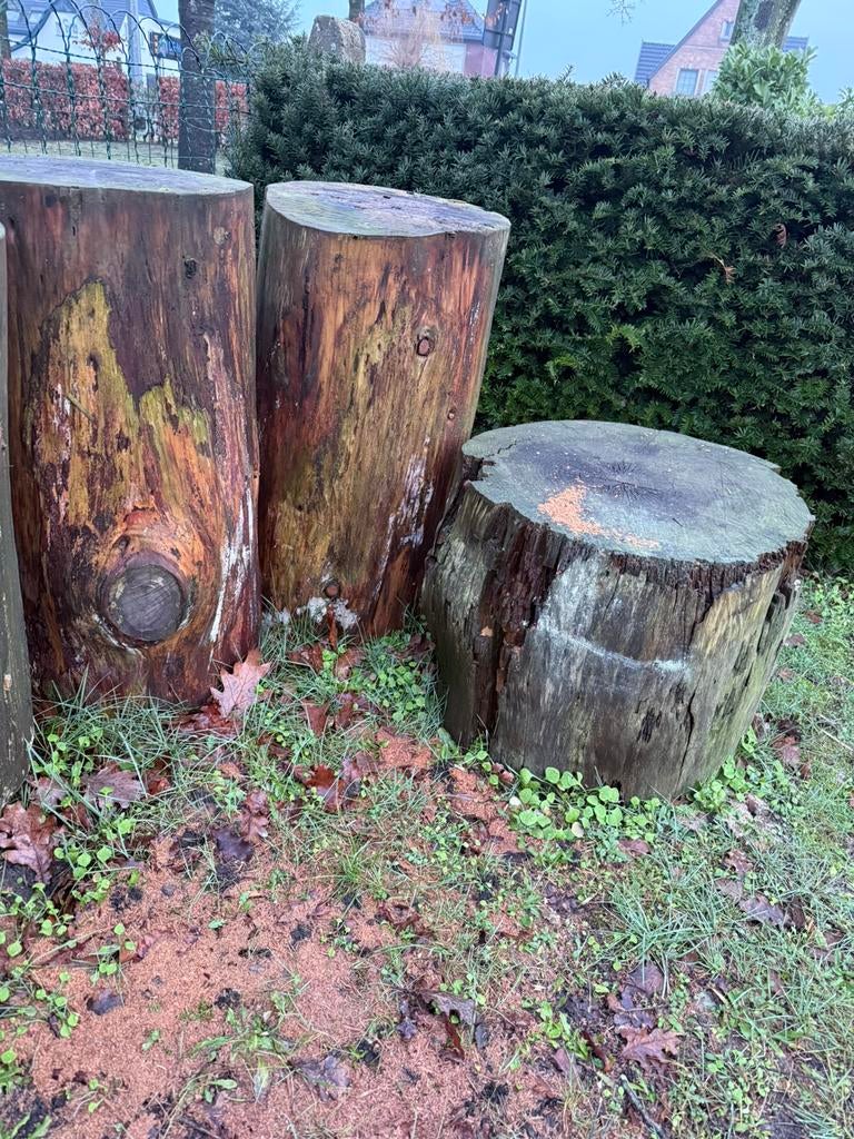 Mooie Boomstronken ter decoratie tuin / krukje / tafel, Enlèvement, Comme neuf