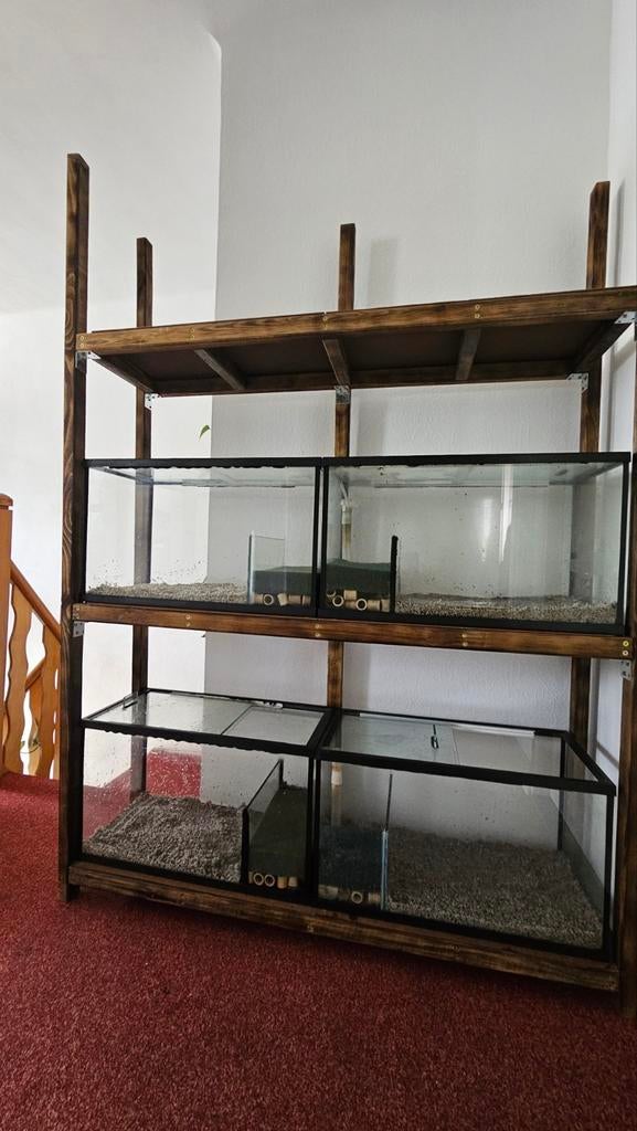 Kweekstelling, aquarium kweek baken., Enlèvement, Utilisé, Autres types, Chauffage