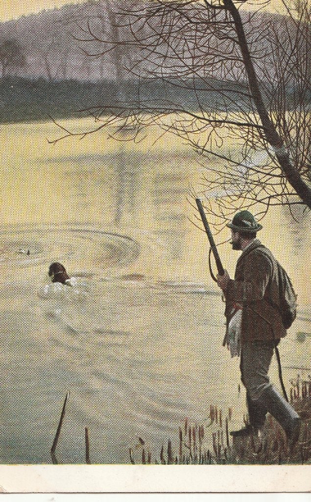 JACHTTAFEREEL  OP  WILDE  EENDEN, Collections, Cartes postales | Animaux, Envoi, Non affranchie, Autres