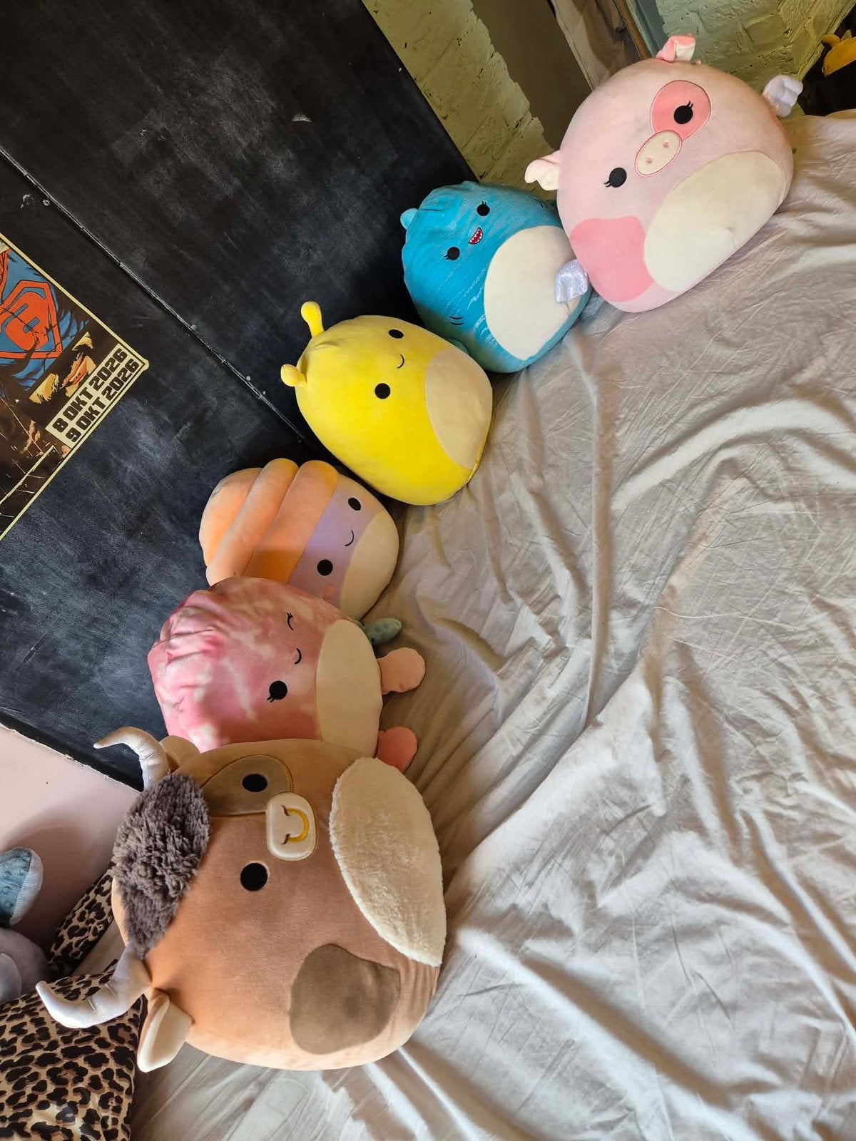 guimauves, Overige karakters, Comme neuf, Squishmallow, Enlèvement