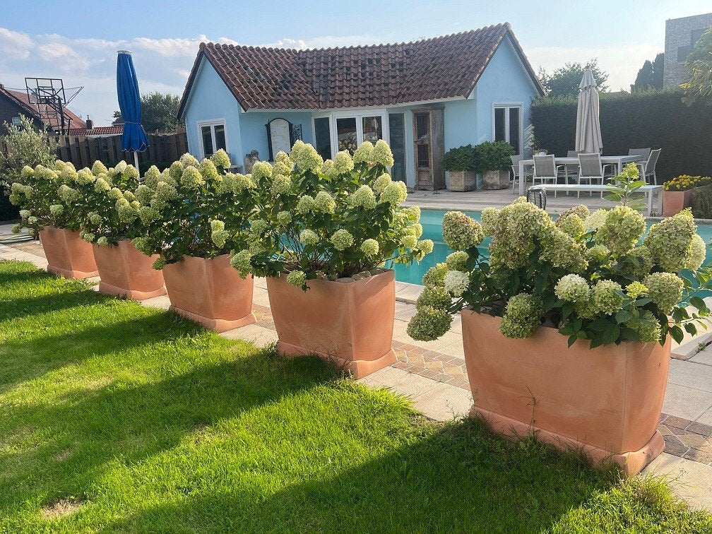 4x XXL kunststof plantenbak BLOEMBAK compleet met Limelights, Jardin & Terrasse, Comme neuf, Synthétique, Enlèvement, Rectangulaire