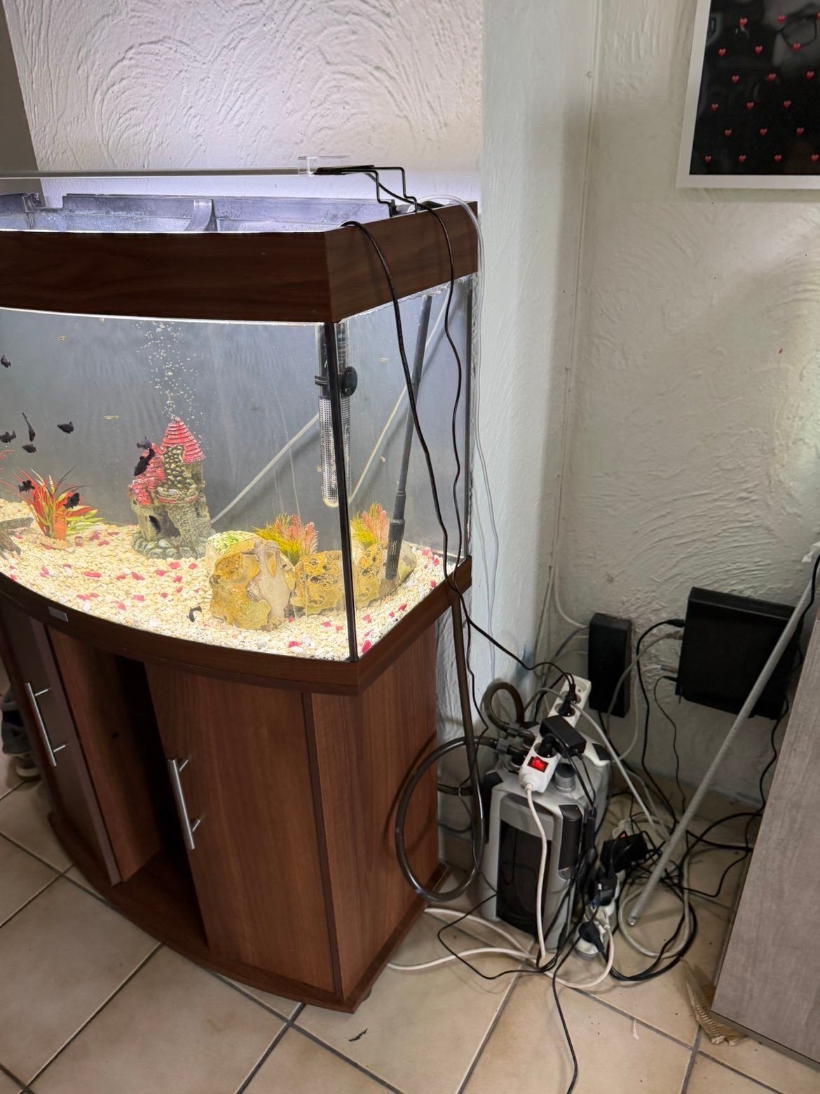 Visbak, Dieren en Toebehoren, Vissen | Aquaria en Toebehoren, Ophalen, Gebruikt, Pomp, Aquariummeubel
