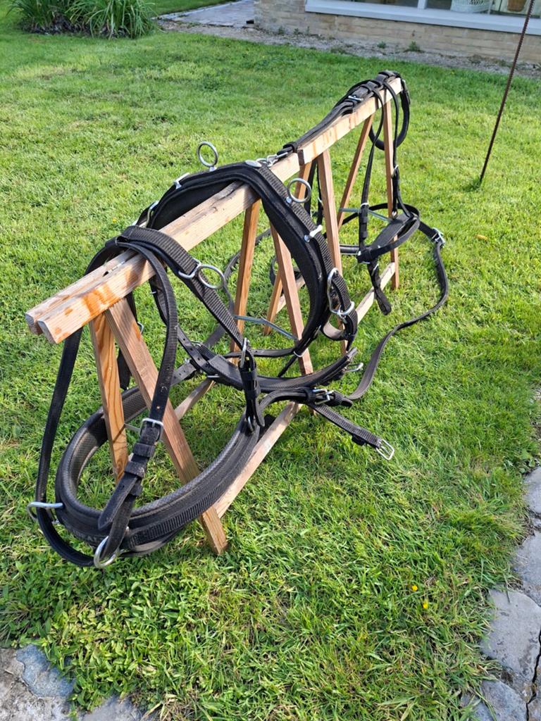 Ideal enkelspan mentuig, Dieren en Toebehoren, Ophalen