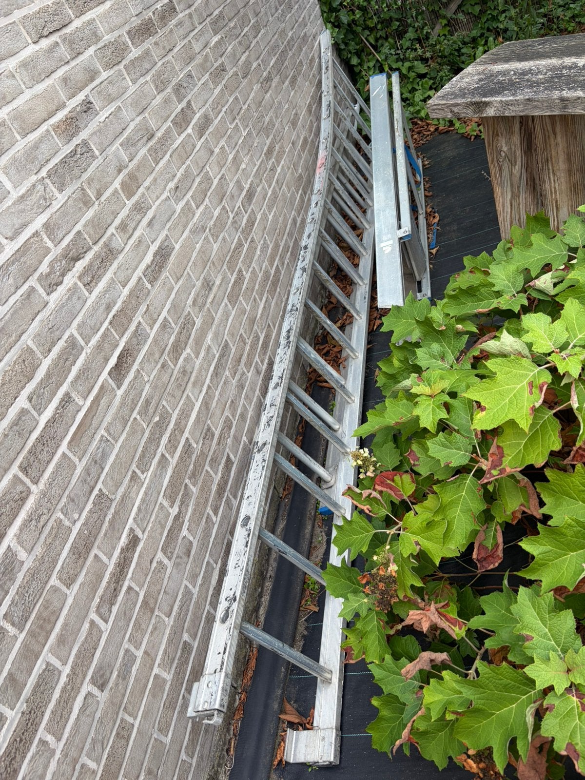 Uitschuifbare ladder, Doe-het-zelf en Bouw, Ladders en Trappen, Ophalen, Zo goed als nieuw, Ladder