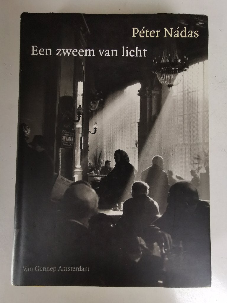 Peter Nadas - Een zweem van licht, Livres, Art & Culture | Photographie & Design, Enlèvement ou Envoi, Utilisé, Photographes