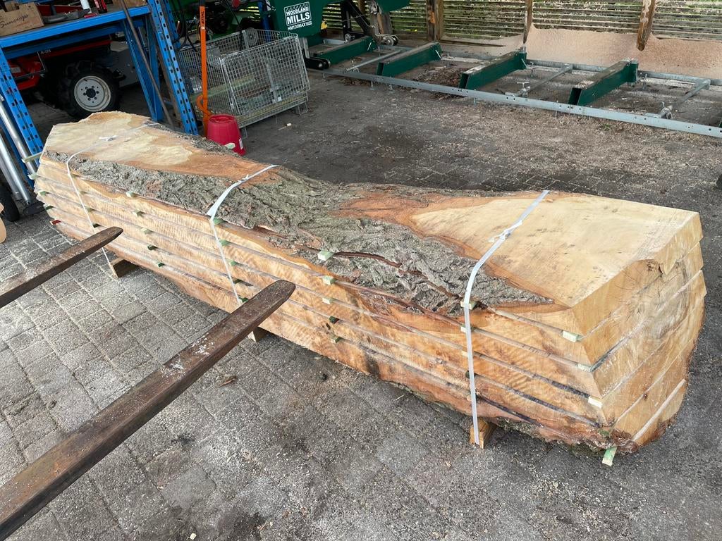 Boomplanken treurwilg, Ophalen, Nieuw, 250 cm of meer, Planken
