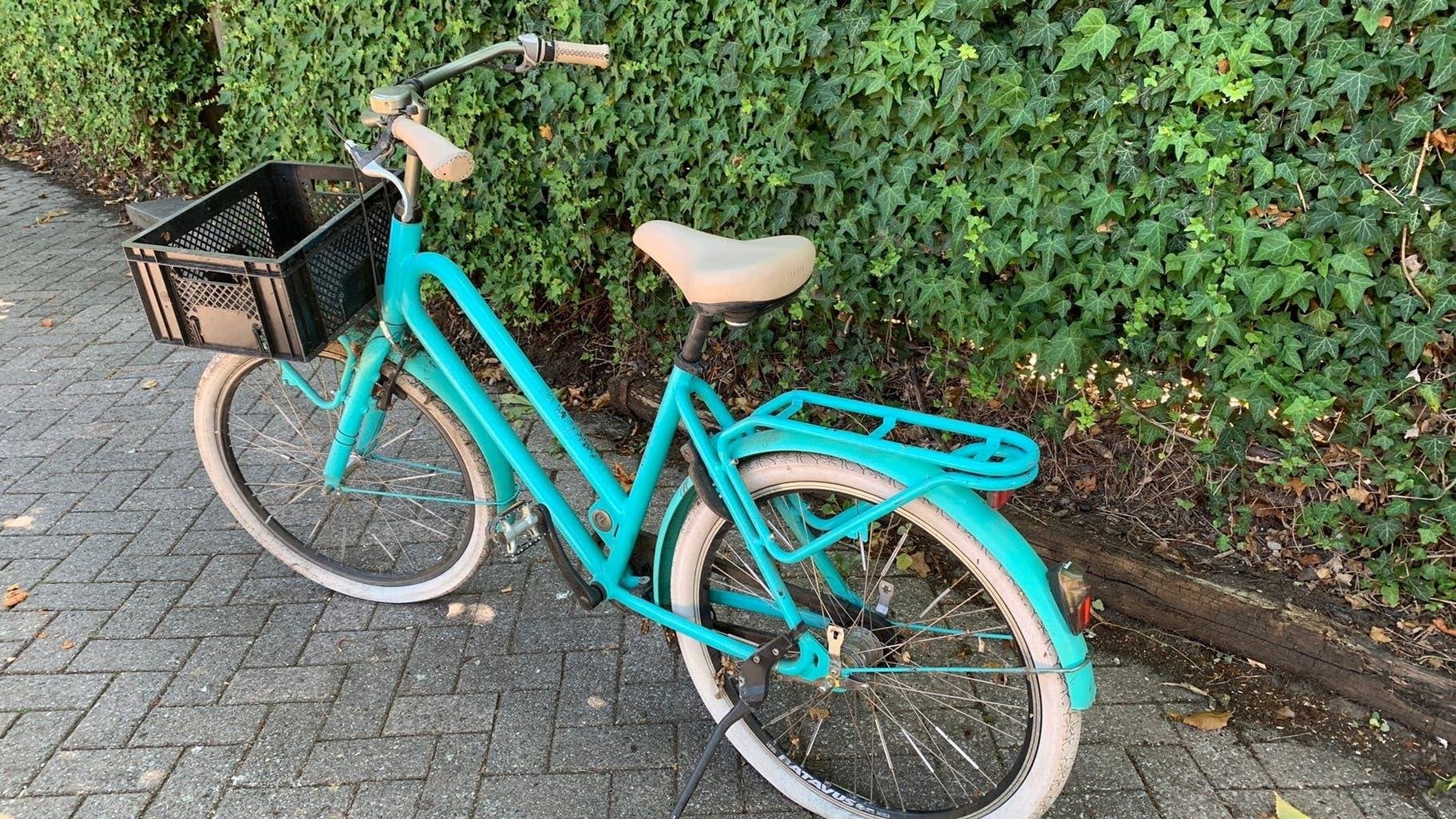 Gazelle transport fiets kinder fiets., Enlèvement, Comme neuf
