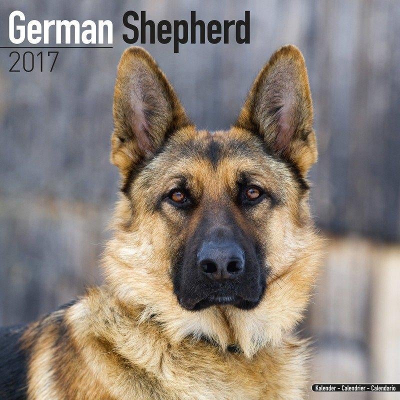 Calendrier Berger Allemand 2017, Enlèvement ou Envoi, Calendrier annuel, Neuf