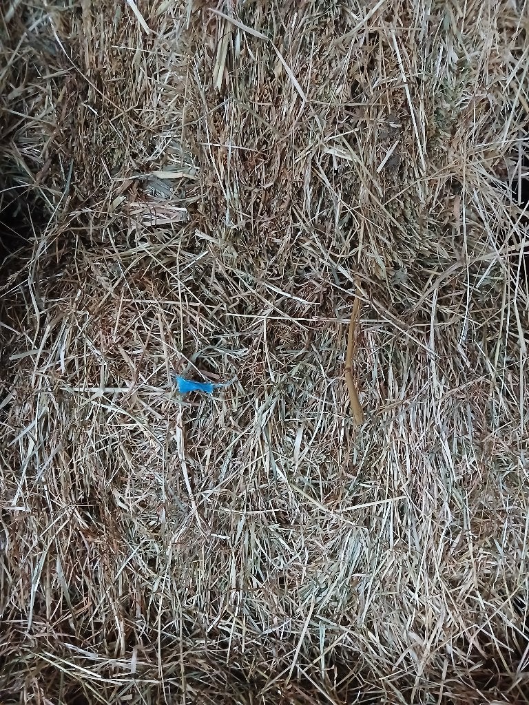 Kleine balen hooi, Dieren en Toebehoren, Ophalen