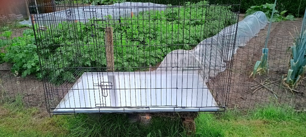 Grande caisse pour cockers et poulets, Animaux & Accessoires, Enlèvement, Comme neuf