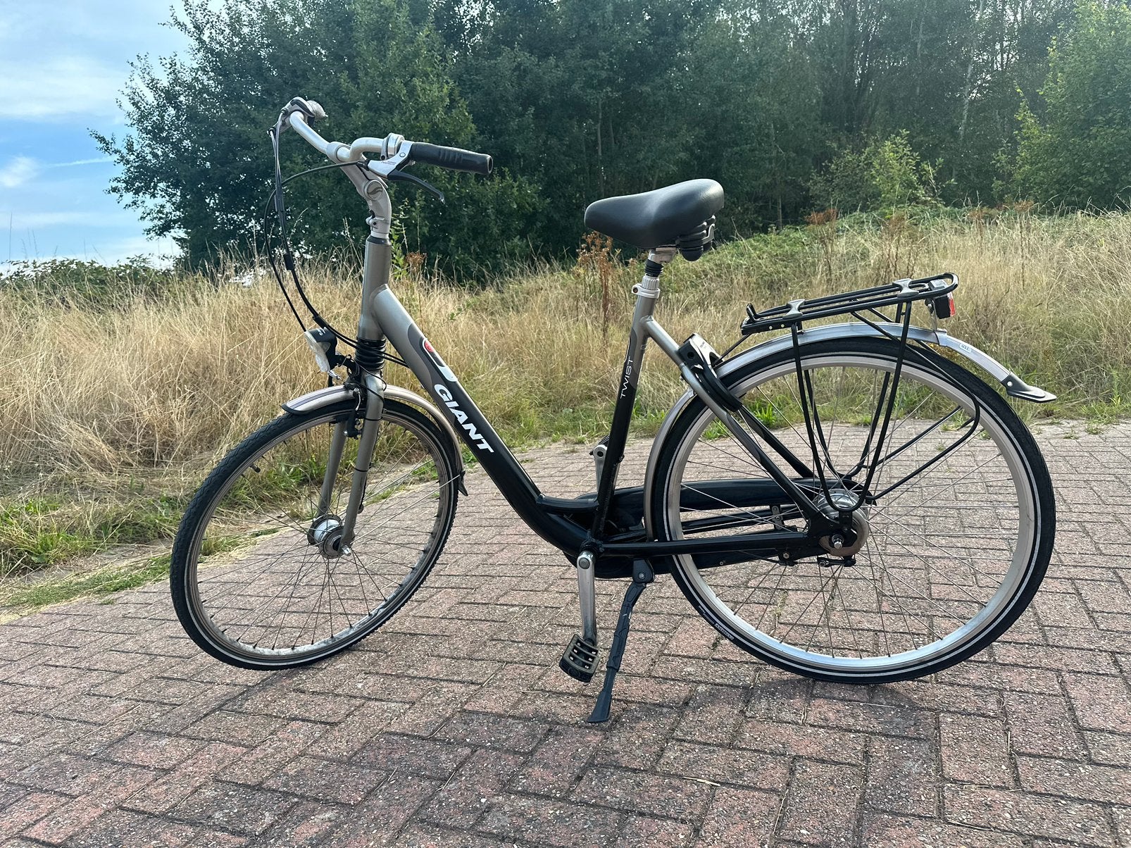 Damesfiets Giant, Ophalen, 53 tot 56 cm, Velgrem, (Extra) lage instap