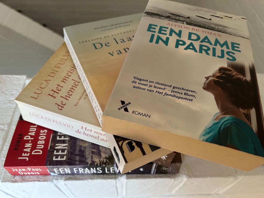 Stapeltje romans, Gelezen, Diverse auteurs, Ophalen of Verzenden, Nederland