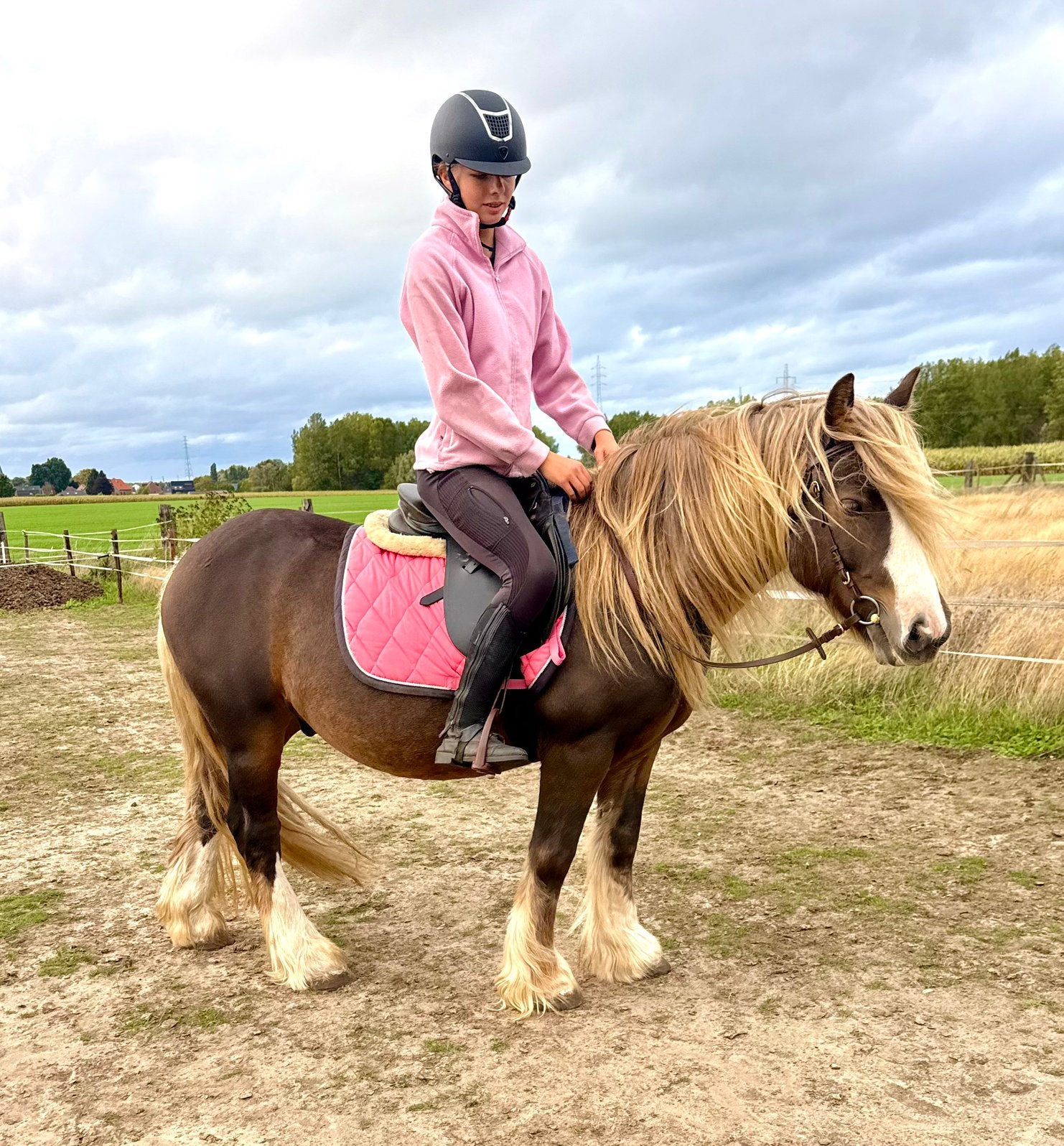 Brave 8 j tinker, Dieren en Toebehoren, B, Ruin, Gechipt, 7 tot 10 jaar
