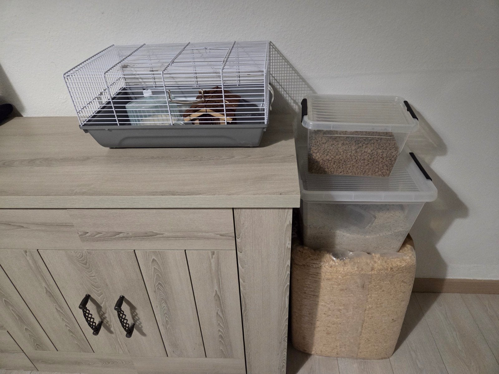 Hamster
écriture
 Oui, Enlèvement, Hamster