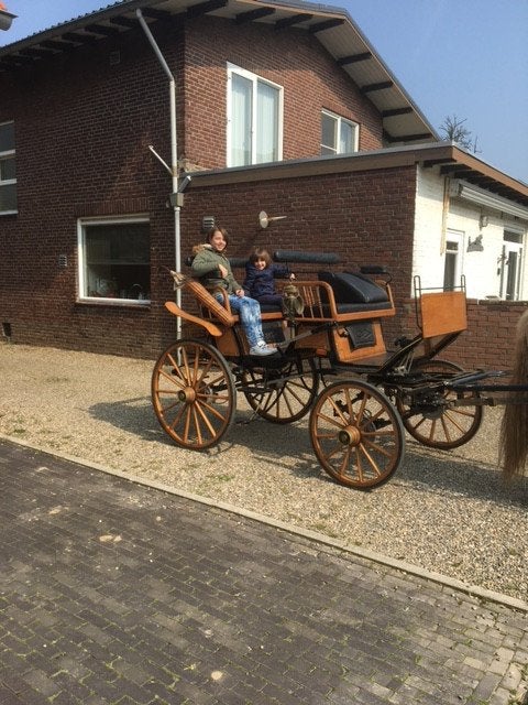 mooie koets type jachtwagen, Dieren en Toebehoren, Zo goed als nieuw, Wagonette, Paard