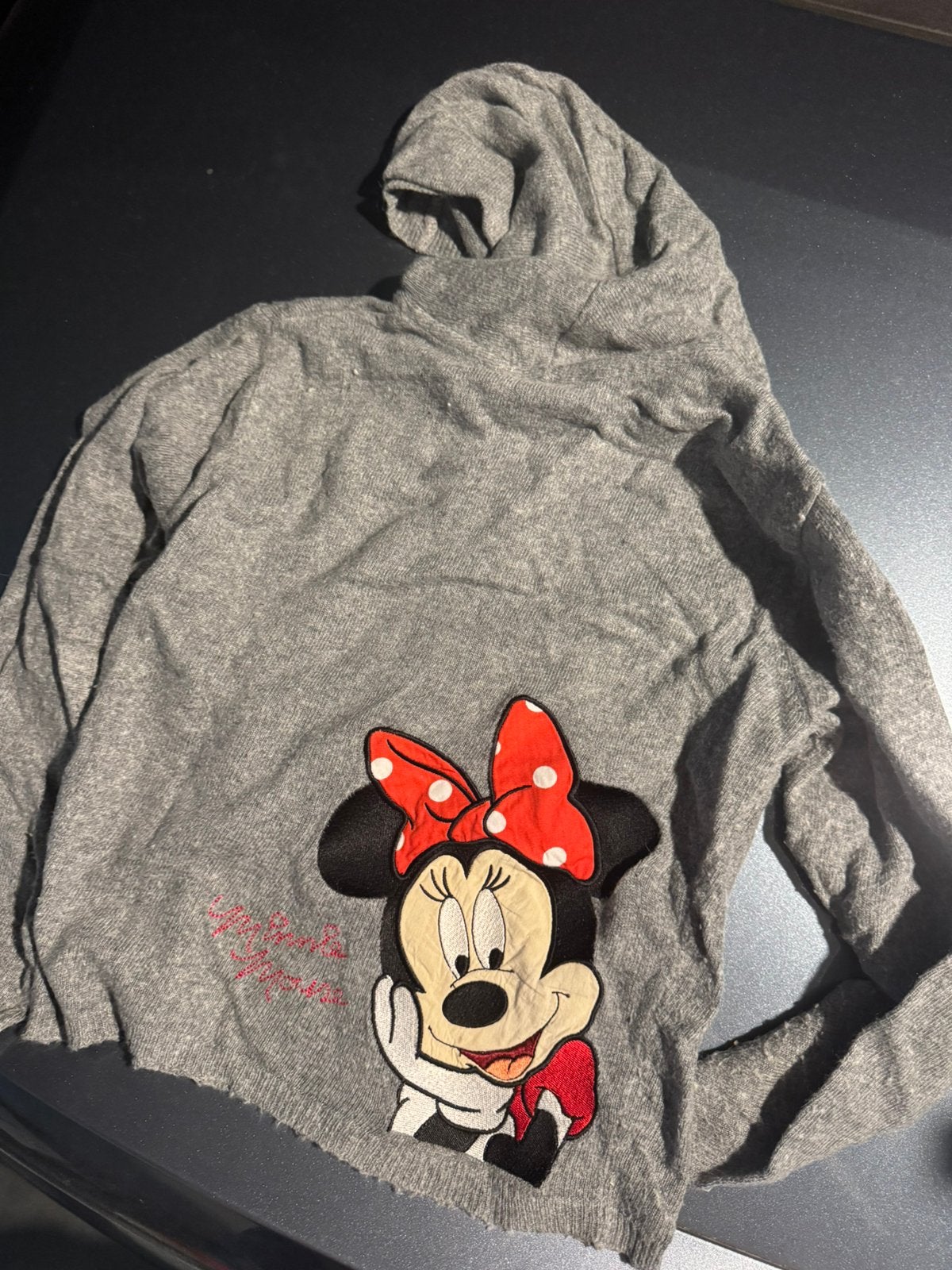 Trui Minney van Disneyland, Verzamelen, Disney, Ophalen of Verzenden, Zo goed als nieuw