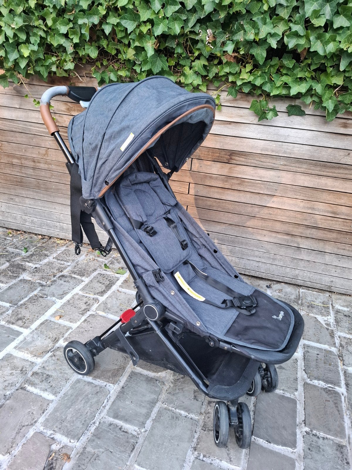 buggy bojungle in rugzak, Kinderen en Baby's, Buggy's, Ophalen