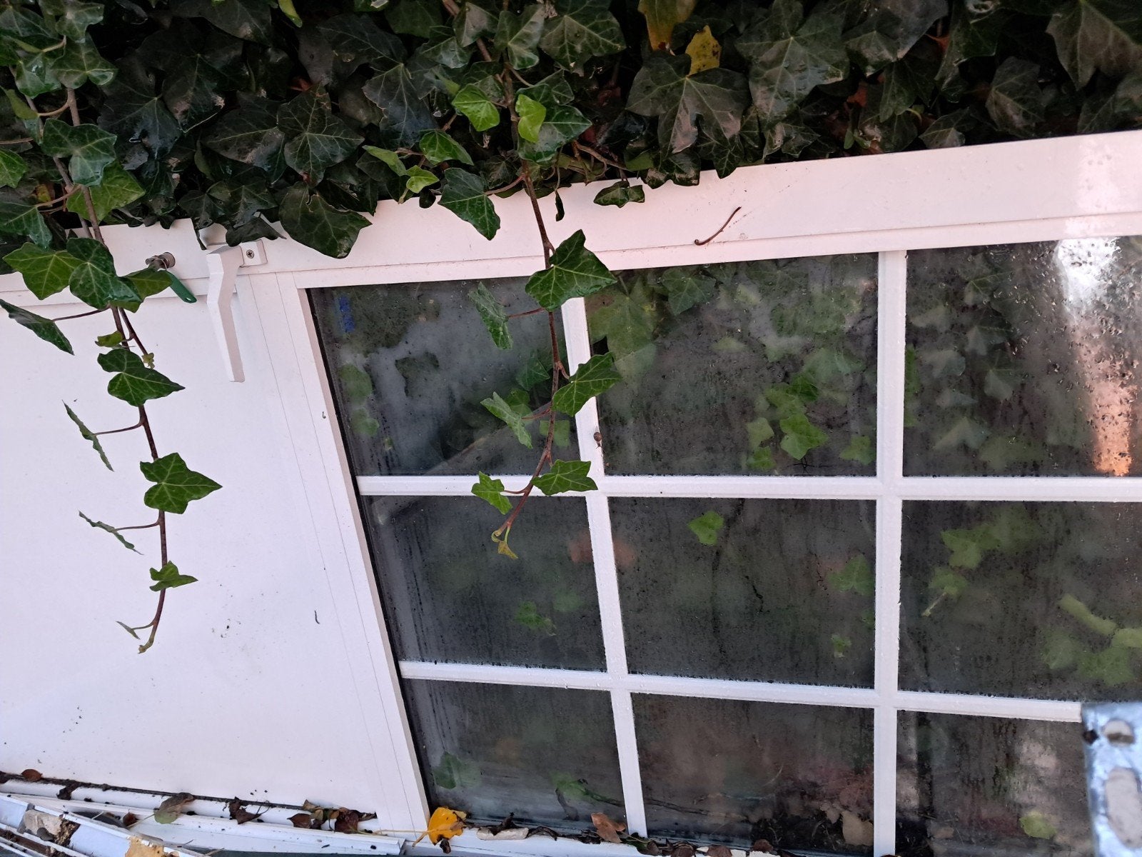 buiten deur met glas., Enlèvement, Aluminium