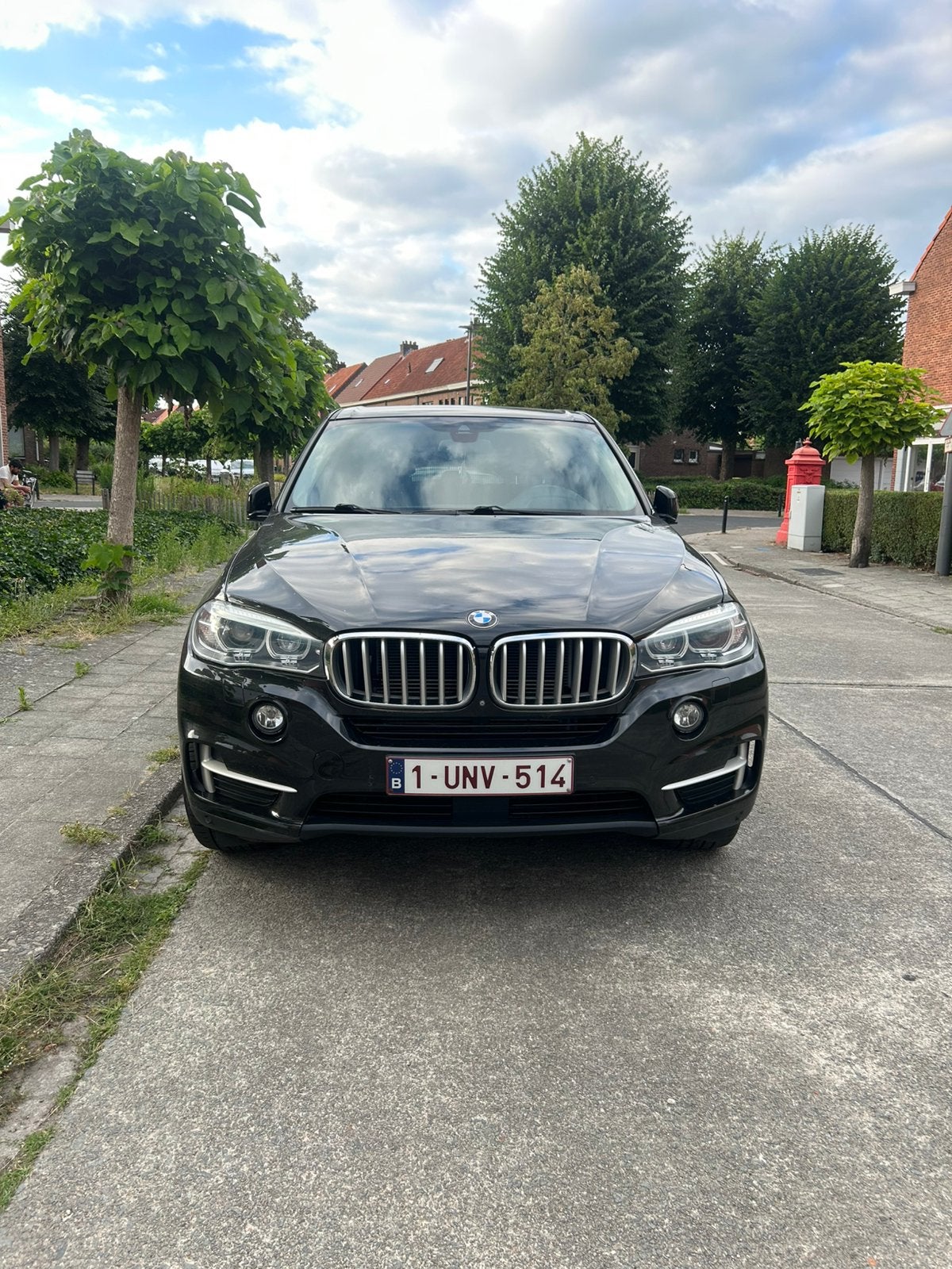 BMW X5 Xdrive40E, Auto's, BMW, Particulier, X5, 360° camera, 4x4, ABS, Achteruitrijcamera, Adaptieve lichten, Adaptive Cruise Control