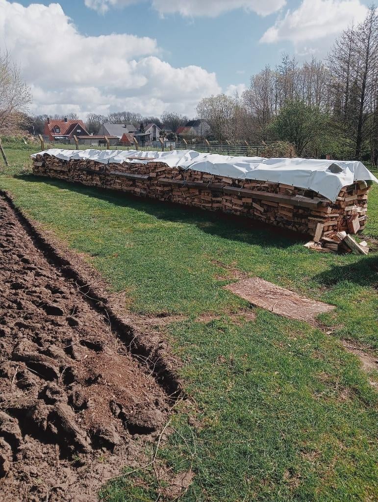 Brandhout Canada te koop, Tuin en Terras, Brandhout, Ophalen, Overige houtsoorten, Blokken