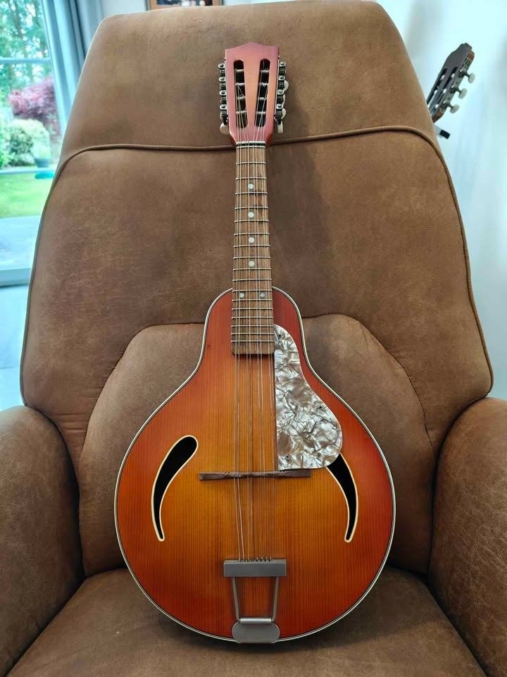 Mandoline vintage Höfner - Made in Germany - excellent état, Musique & Instruments, Instruments à corde | Mandolines, Utilisé