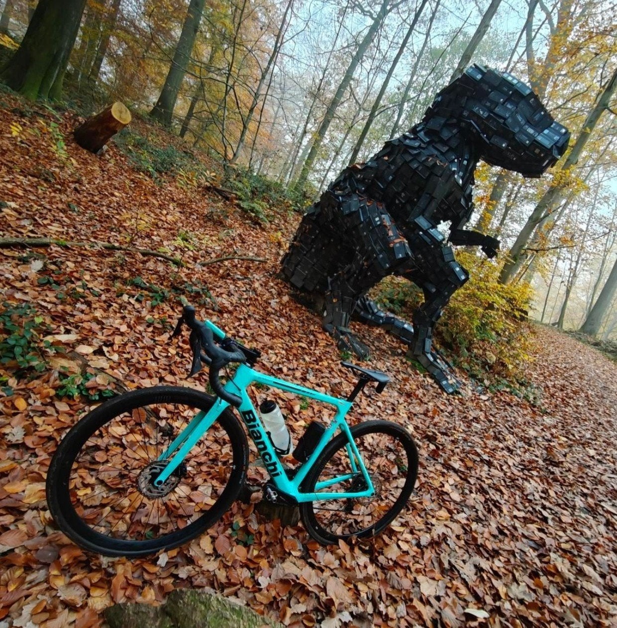 BIANCHI sprint, Comme neuf, Enlèvement, 53 à 57 cm, 28 pouces