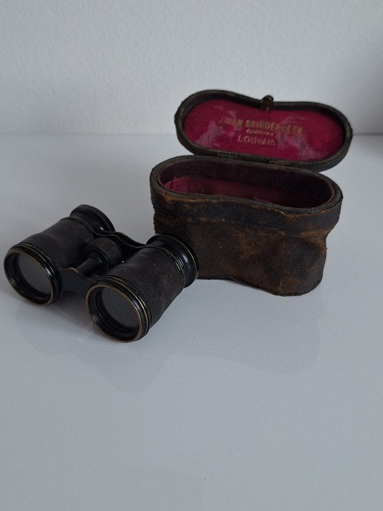 Jumelles de théâtre 19ème siècle, Enlèvement, Utilisé, Autres types, Avec housse ou sac