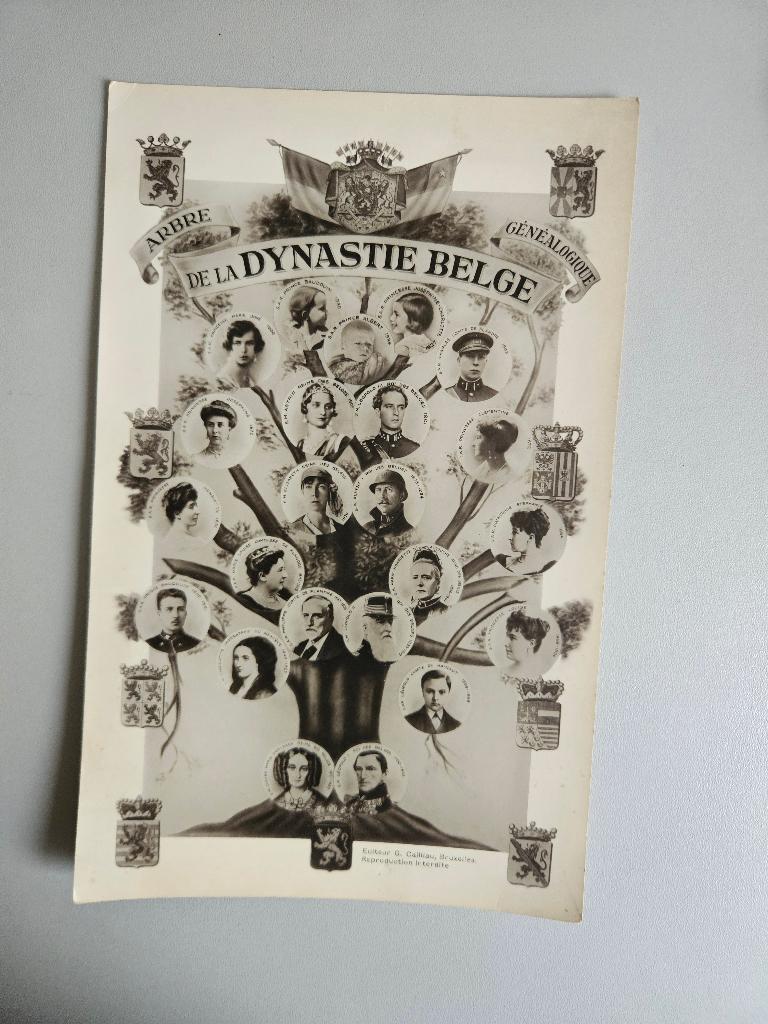 Carte d'armoire vintage de la dynastie belge, Enlèvement ou Envoi, 1920 à 1940, Non affranchie, Politique et Histoire