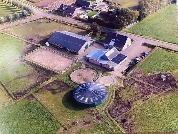Ruime stallen beschikbaar – zelfstandig & professioneel, Dieren en Toebehoren, Stalling en Weidegang, Weidegang, 4 paarden of pony's of meer
