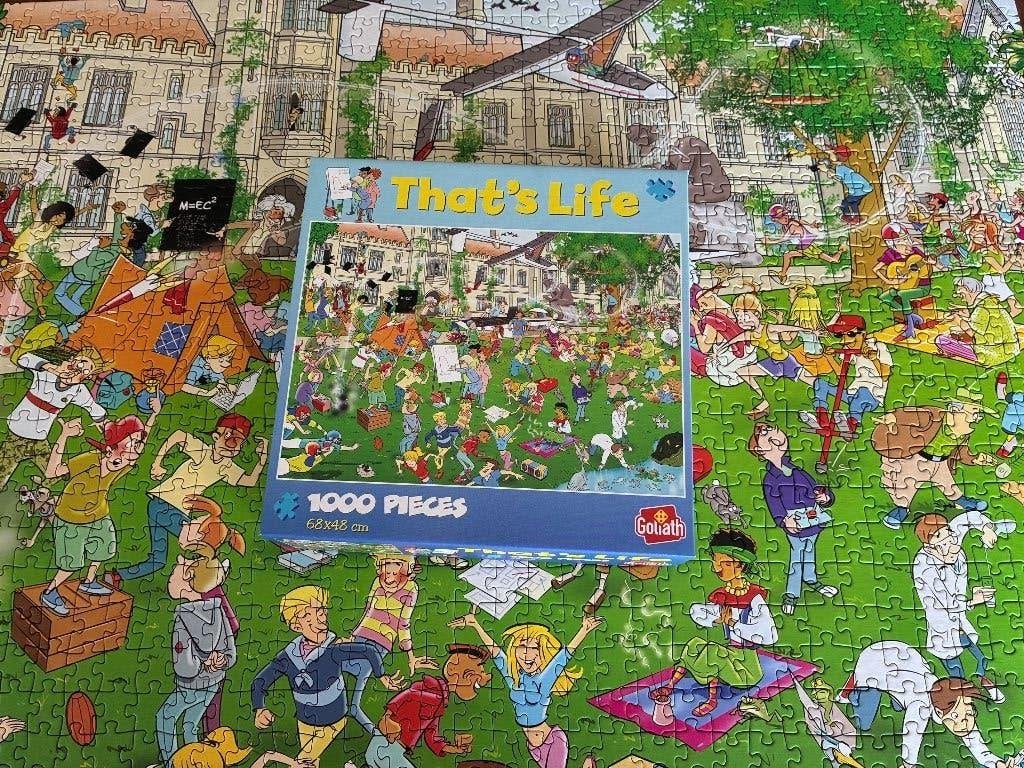 Puzzel van 1000 stukjes: That's Life Degrees, Ophalen of Verzenden, Zo goed als nieuw, Legpuzzel