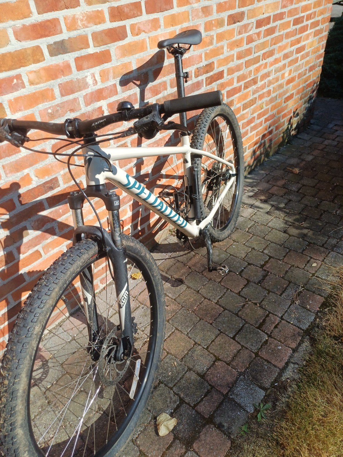 Mountainbike, Fietsen en Brommers, Ophalen