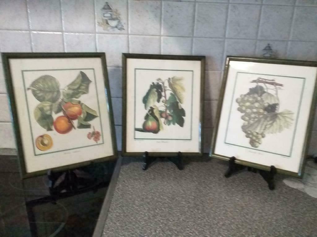 3 replica’s van oude prenten, Ophalen of Verzenden, Zo goed als nieuw, Natuur