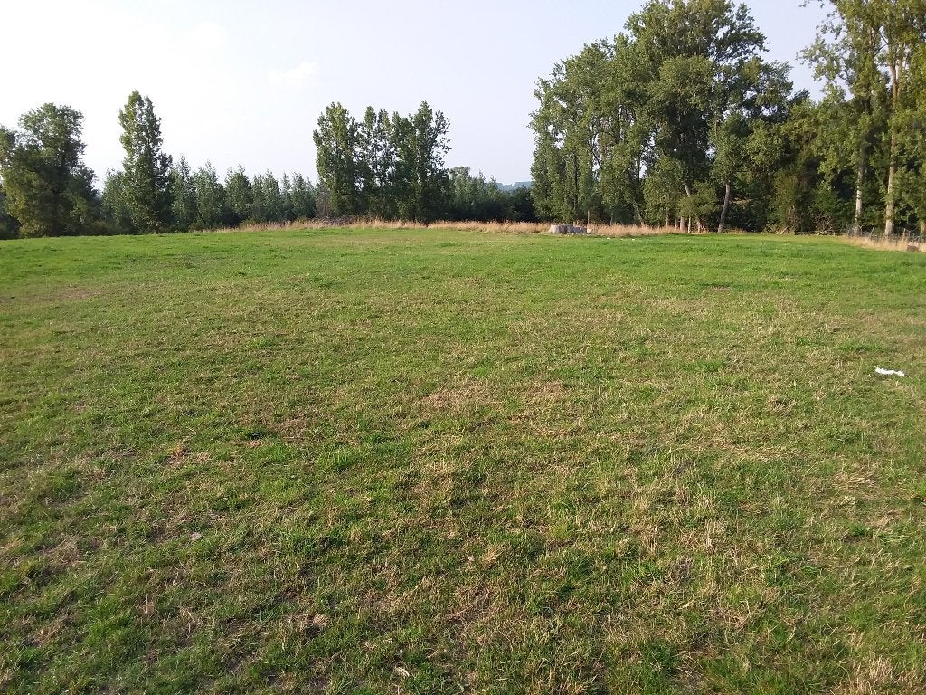 Weide te huur, Dieren en Toebehoren, Weidegang, 2 of 3 paarden of pony's