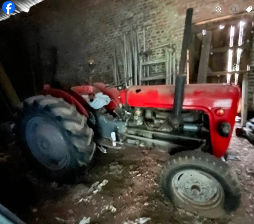 Tracteur, Articles professionnels, Enlèvement, Utilisé, Jusqu'à 80 ch, Massey Ferguson