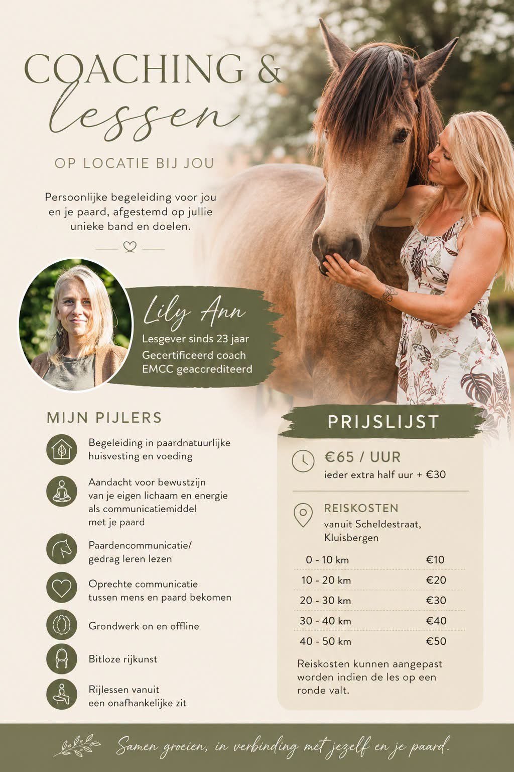 Lesgever/coach aan huis voor u en uw paard, Animaux & Accessoires, Box & Pâturages