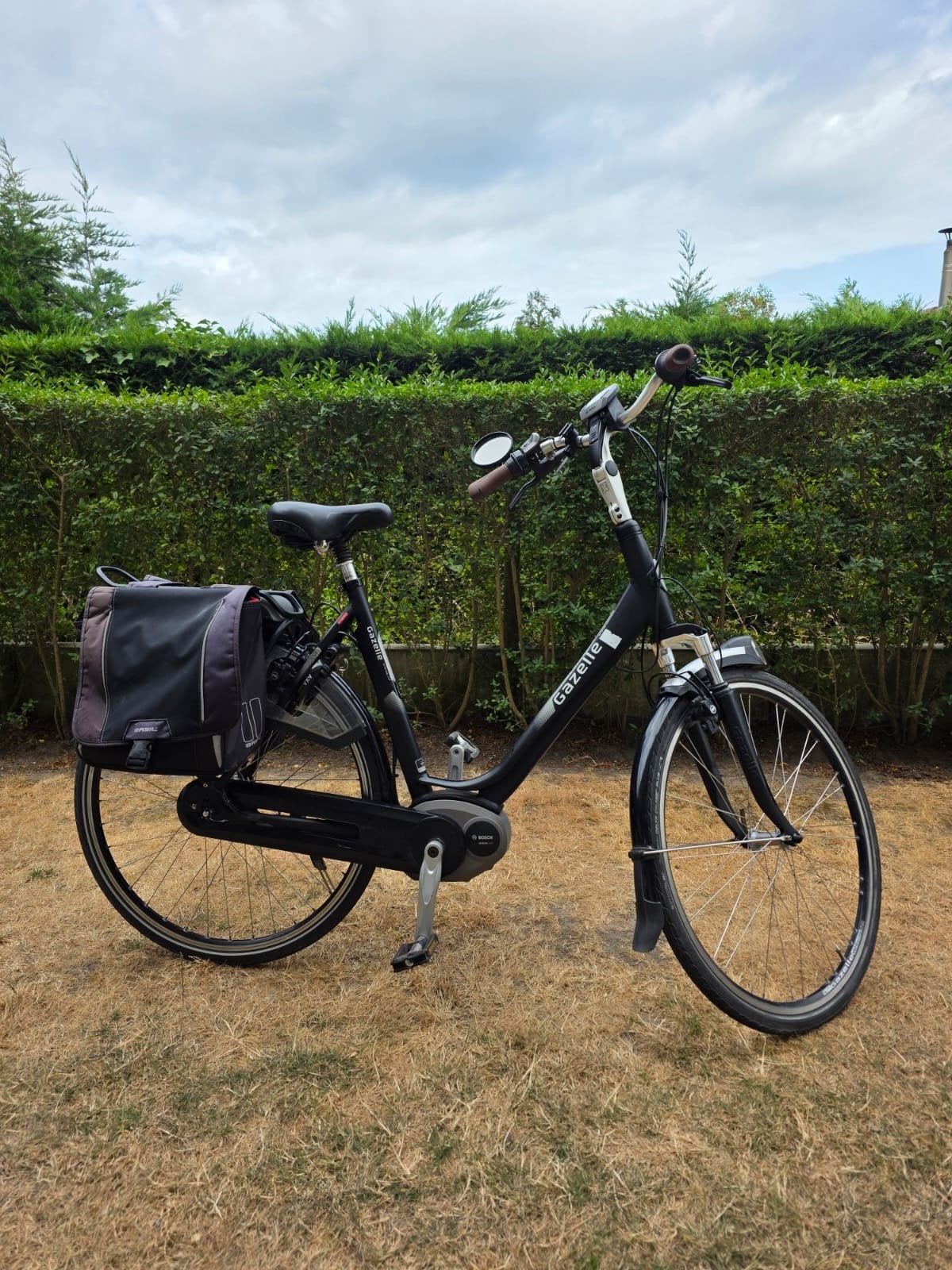 gazelle elektrische fiets, Ophalen, Gazelle
