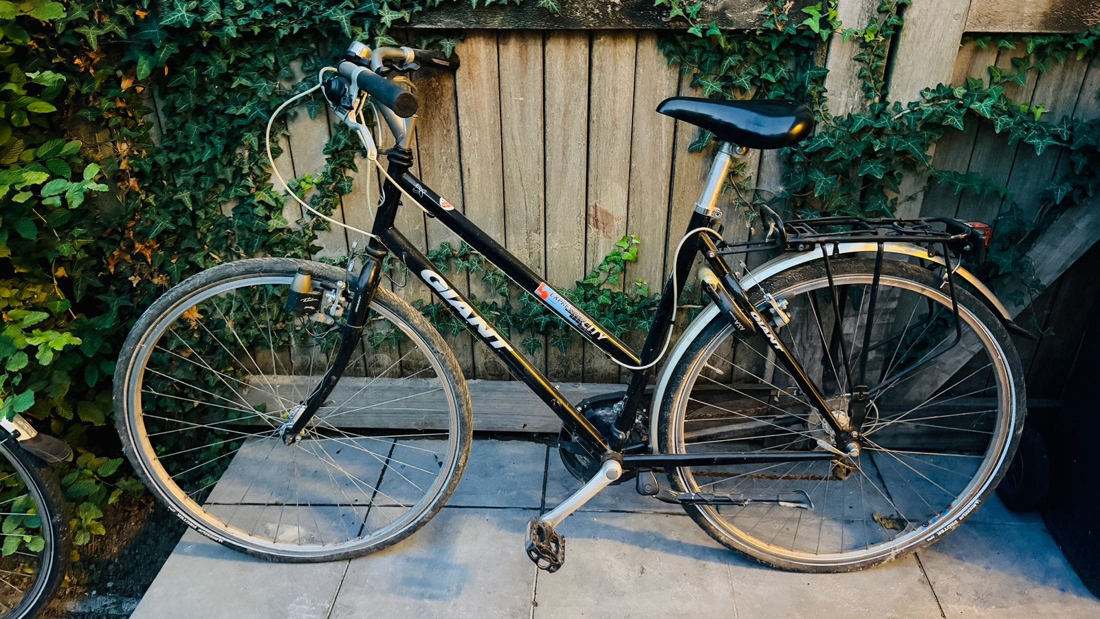 Damesfiets Giant zwart, Ophalen, Zo goed als nieuw, Giant