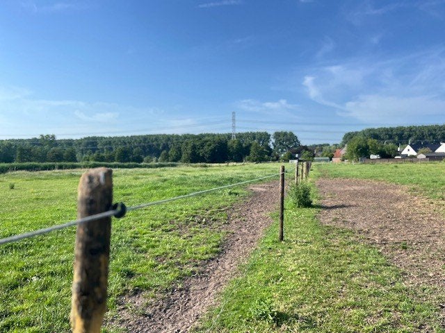 WEILAND TE KOOP, Maldegem, 1500 m² ou plus