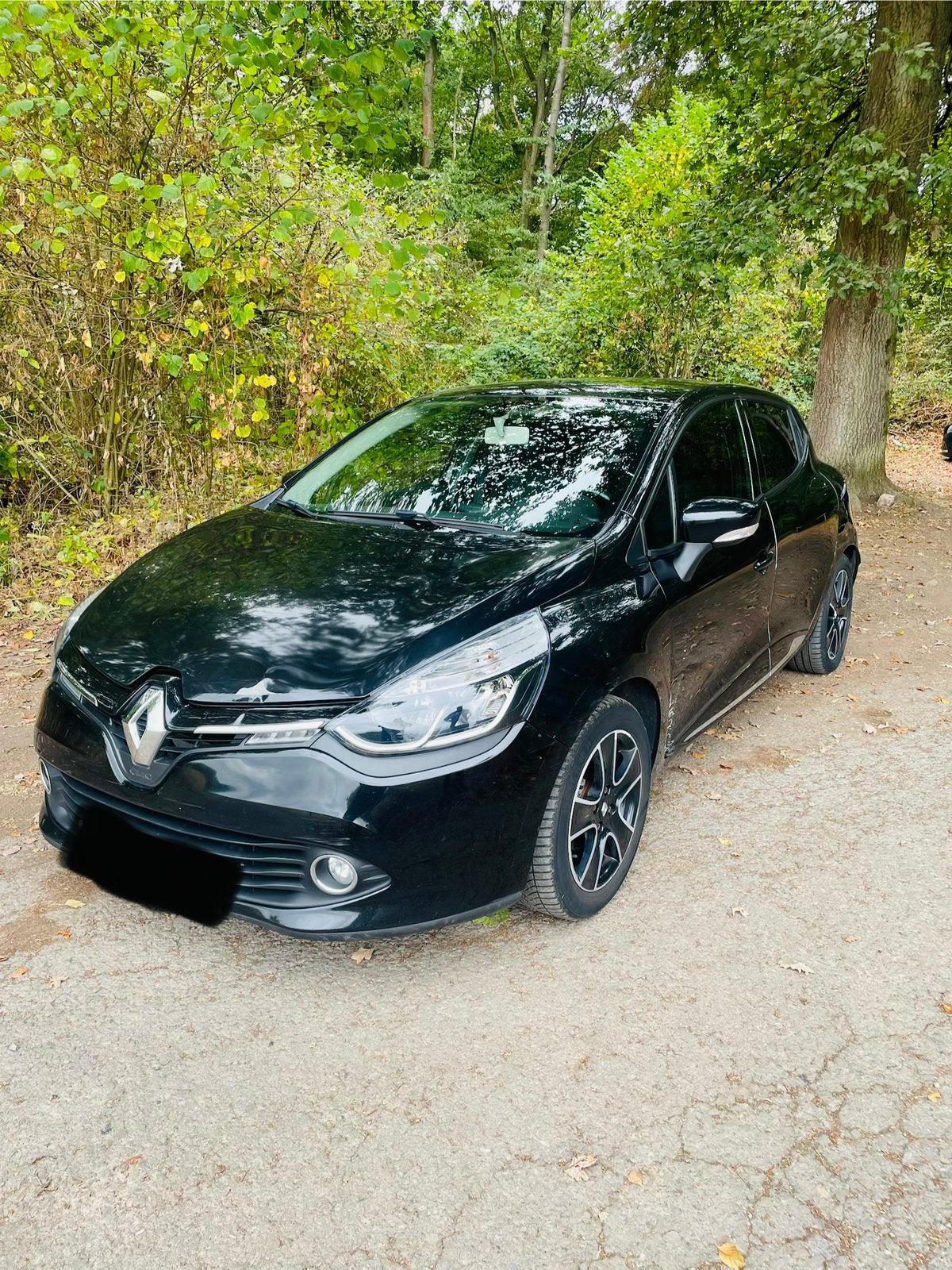 Clio 2013 4000€ prete a immat, Achat, Particulier, Essence, Clio