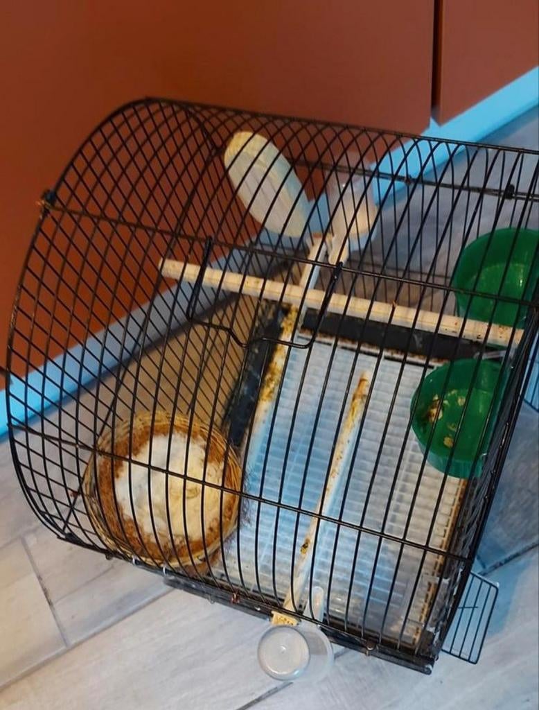 2 vogels kooi, Ophalen, Kooi