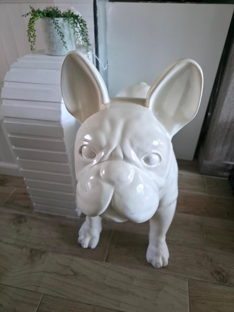 Beeld Franse Bulldog, Ophalen