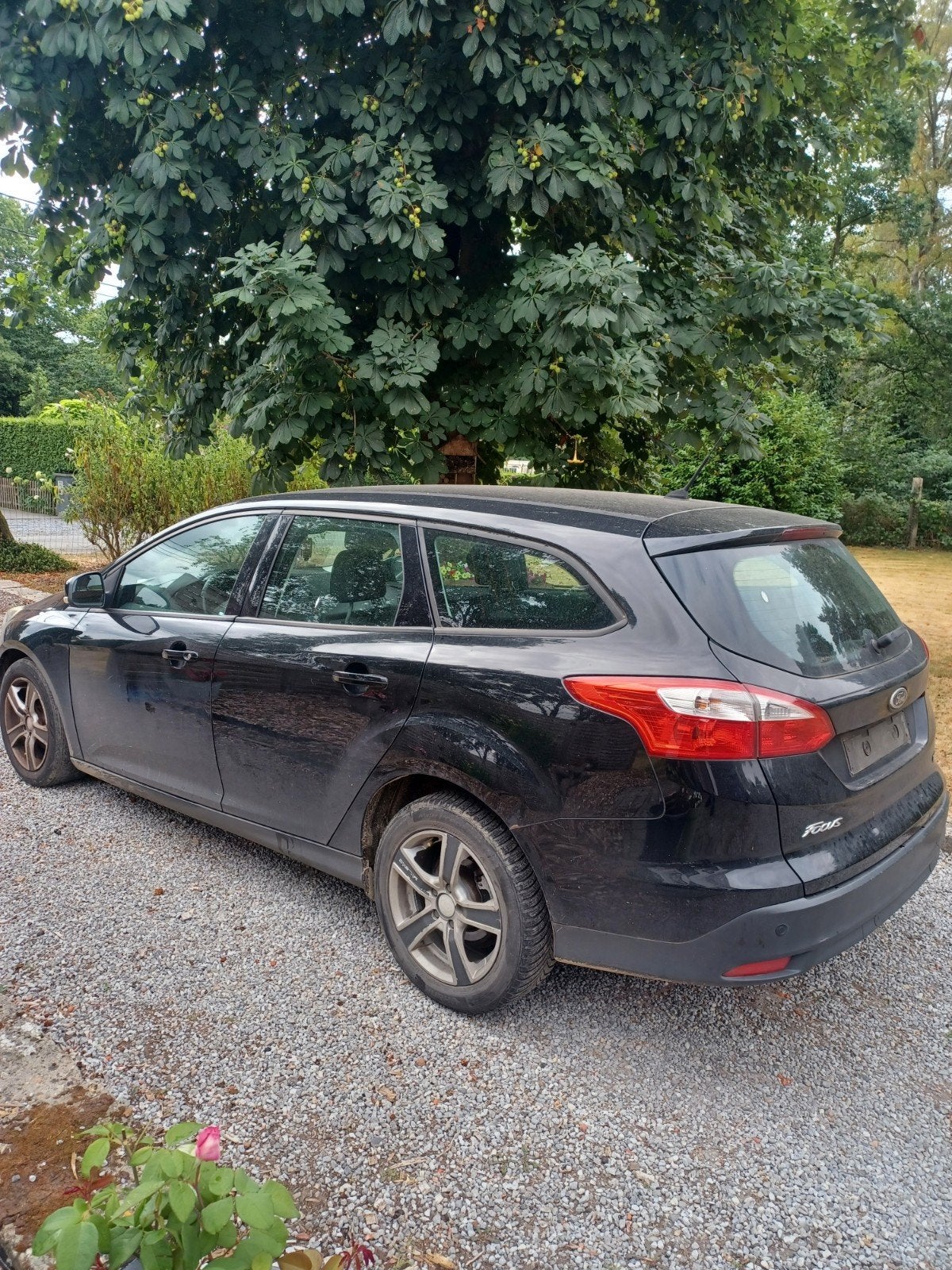 Ford Focus pour l'exportation ou pièces détachées, Focus, Achat, Ordinateur de bord, Particulier