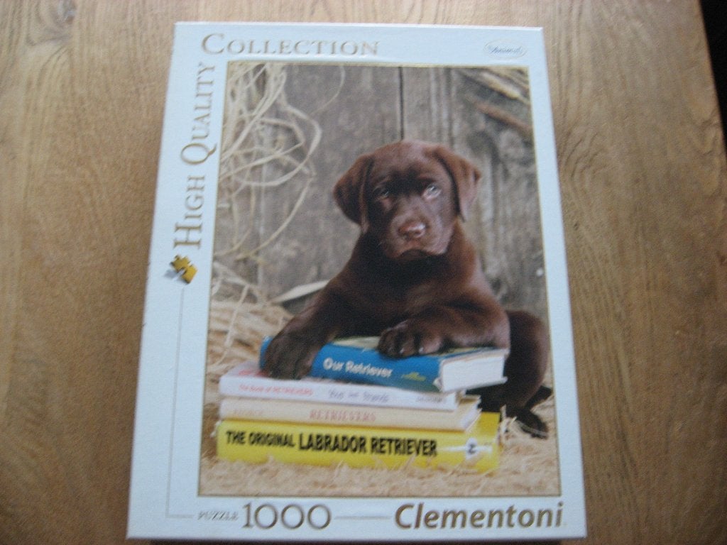 Laying on the Books Clementoni Puzzel 1000 st, Enlèvement ou Envoi, 500 à 1500 pièces, Neuf, Puzzle