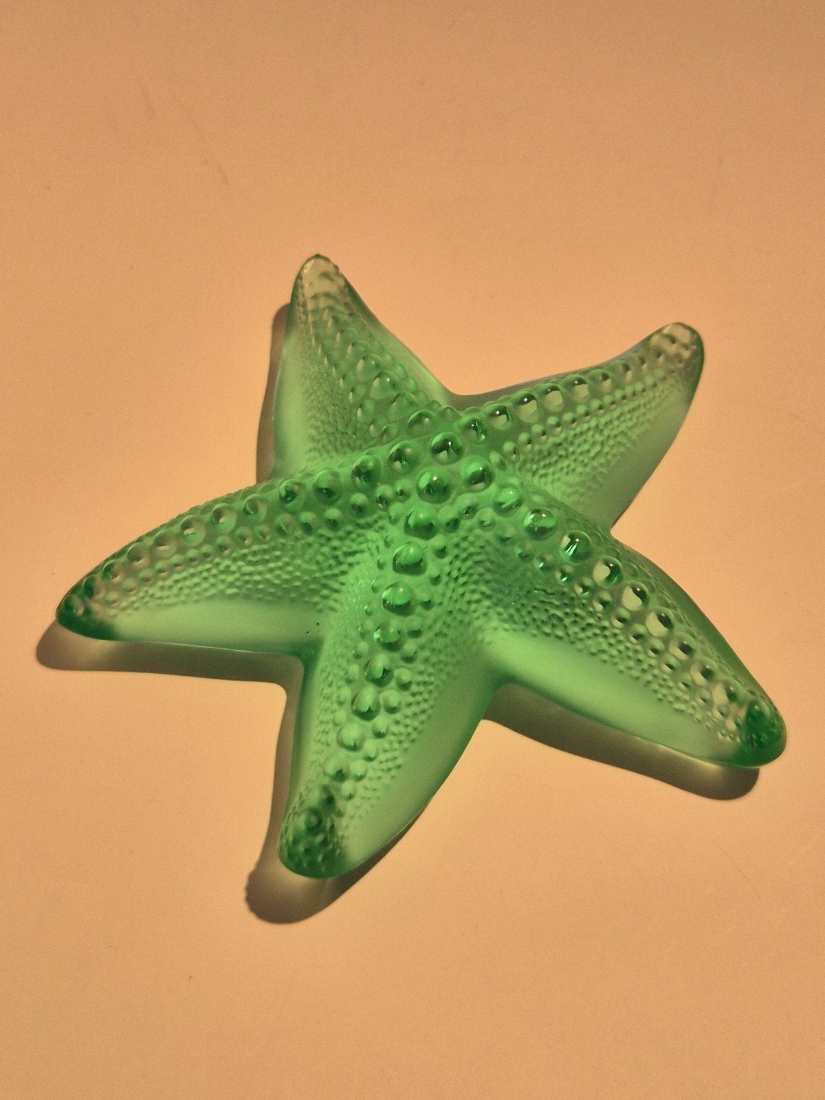 Etoile de mer Océanie en cristal Lalique, Enlèvement ou Envoi