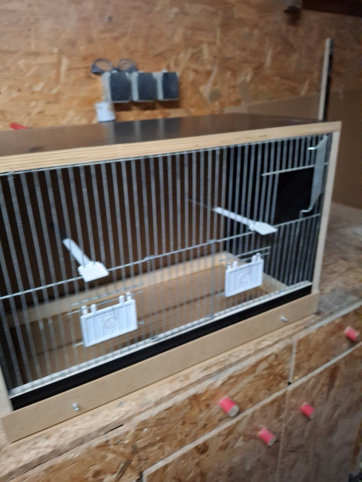 Nieuwe vogelkooien, Enlèvement, Neuf, Bois, Cage à oiseaux