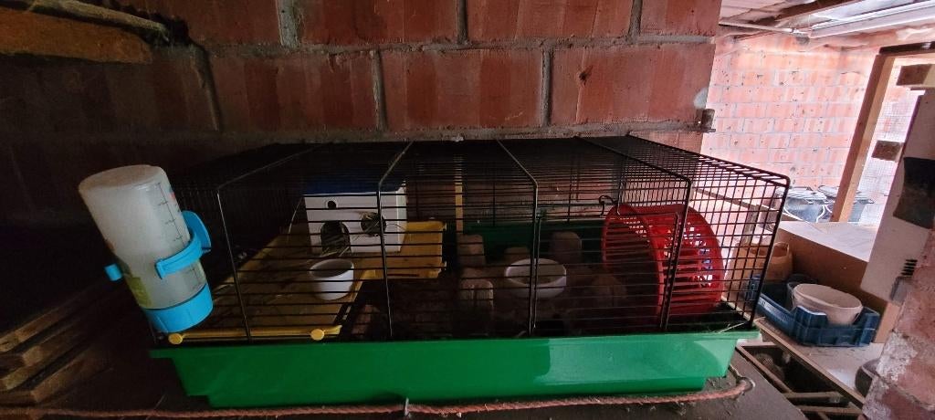 hamsterkooi, Ophalen, Gebruikt, Kooi, Hamster