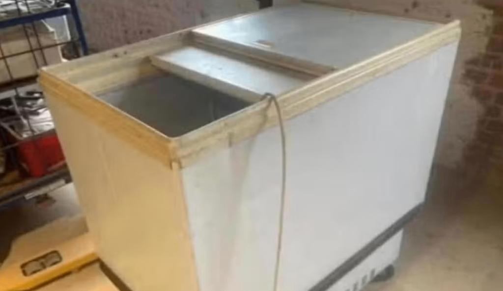 bakfrigo, Elektronische apparatuur, Koelkasten en IJskasten, Ophalen, Gebruikt