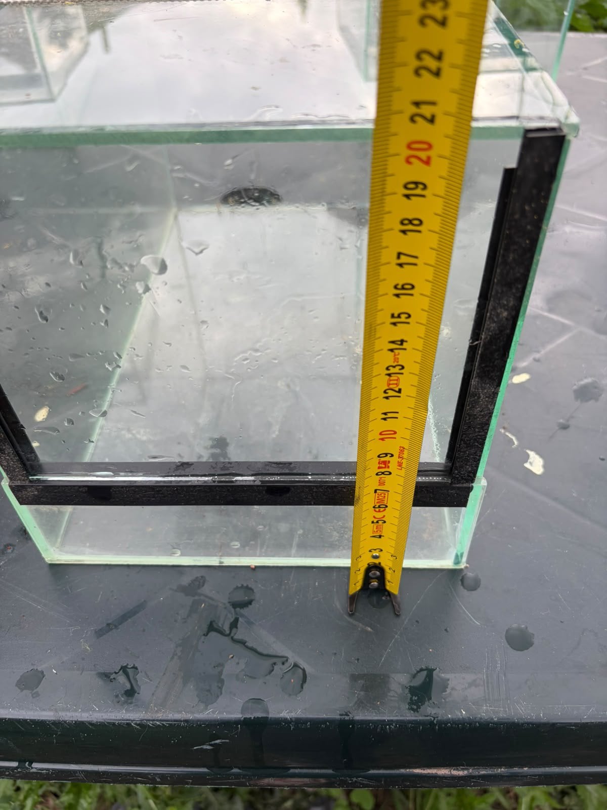Terrarium voor spinnen, Dieren en Toebehoren