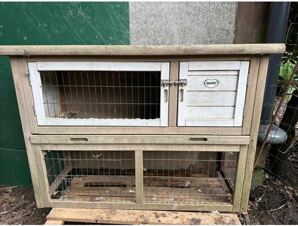 Konijnen hok gratis, Dieren en Toebehoren, Ophalen, Zo goed als nieuw, Hok