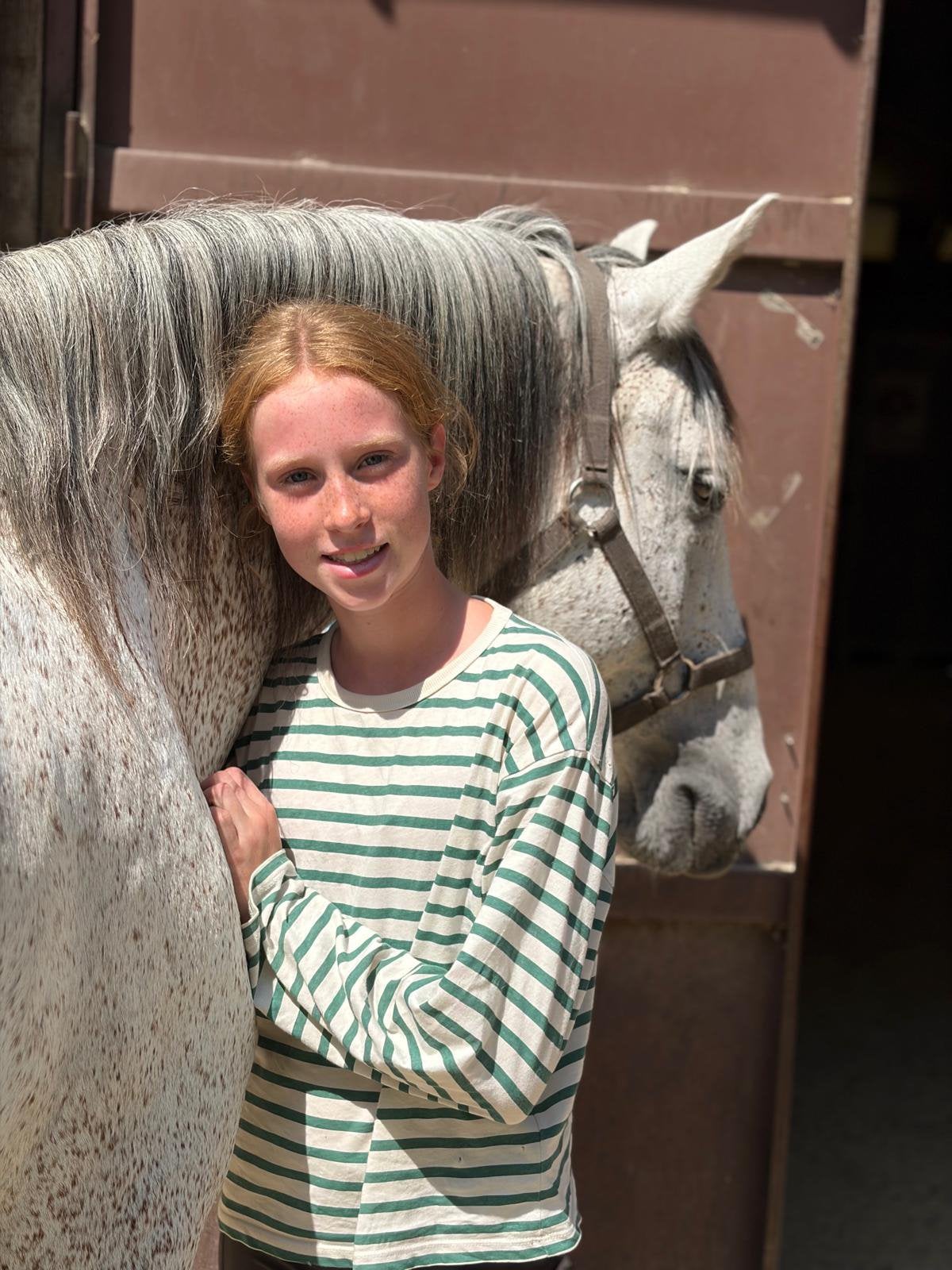 Verzorgpaard gezocht - veel aandacht in de aanbieding, Dieren en Toebehoren, Paarden